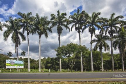 Parque Natural Regional El Vínculo - Buga