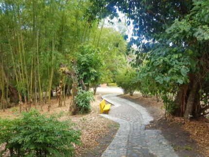 Jardín Botánico Juan María Céspedes