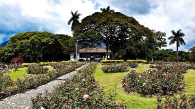 Hacienda El Paraíso